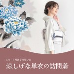 6月単衣訪問着
