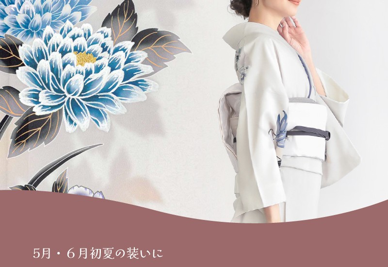 6月単衣訪問着