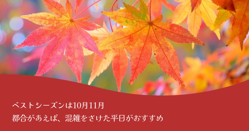 ベストシーズン10月11月